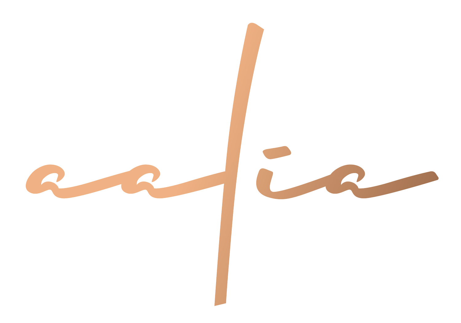 Aalia Restaurant Sydney