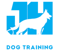 Doggy Daycare Port Macquarie