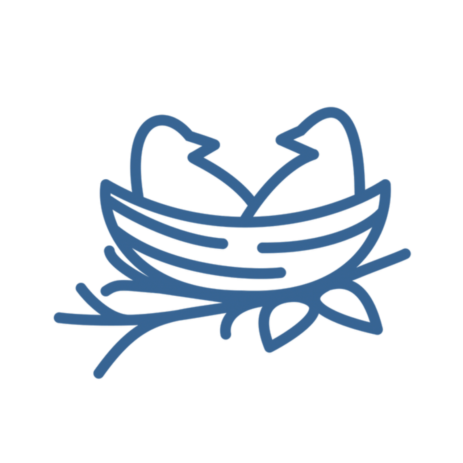 The Learning Nest Co.