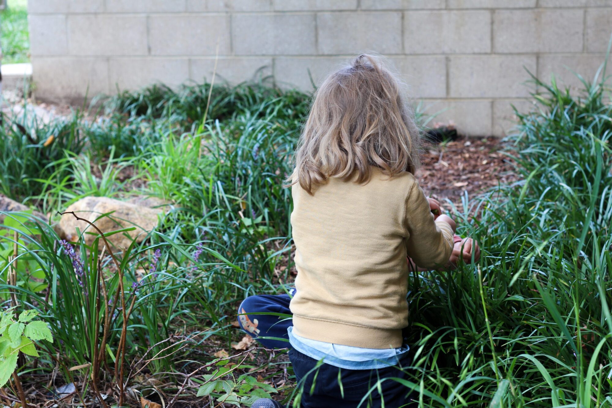 YMCA Holder Early Learning Centre