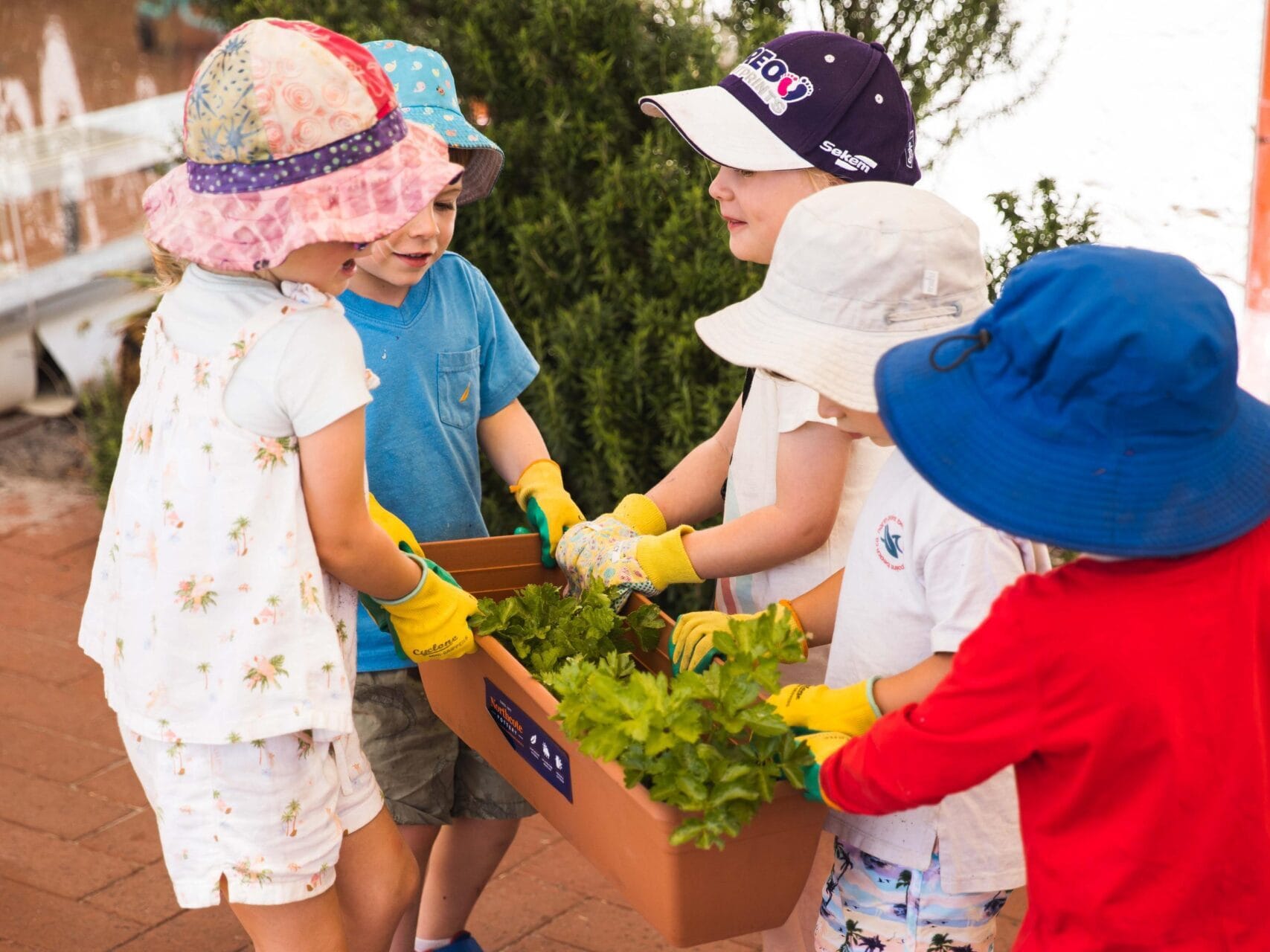 North Fremantle School of Early Learning