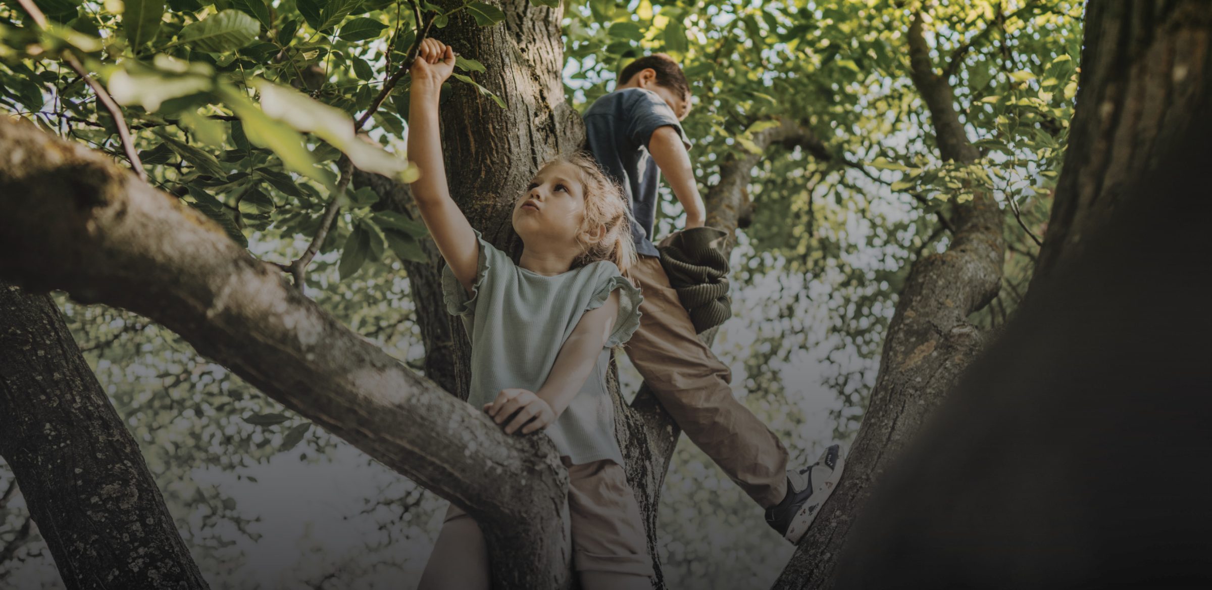 Anglicare Franklin Early Learning