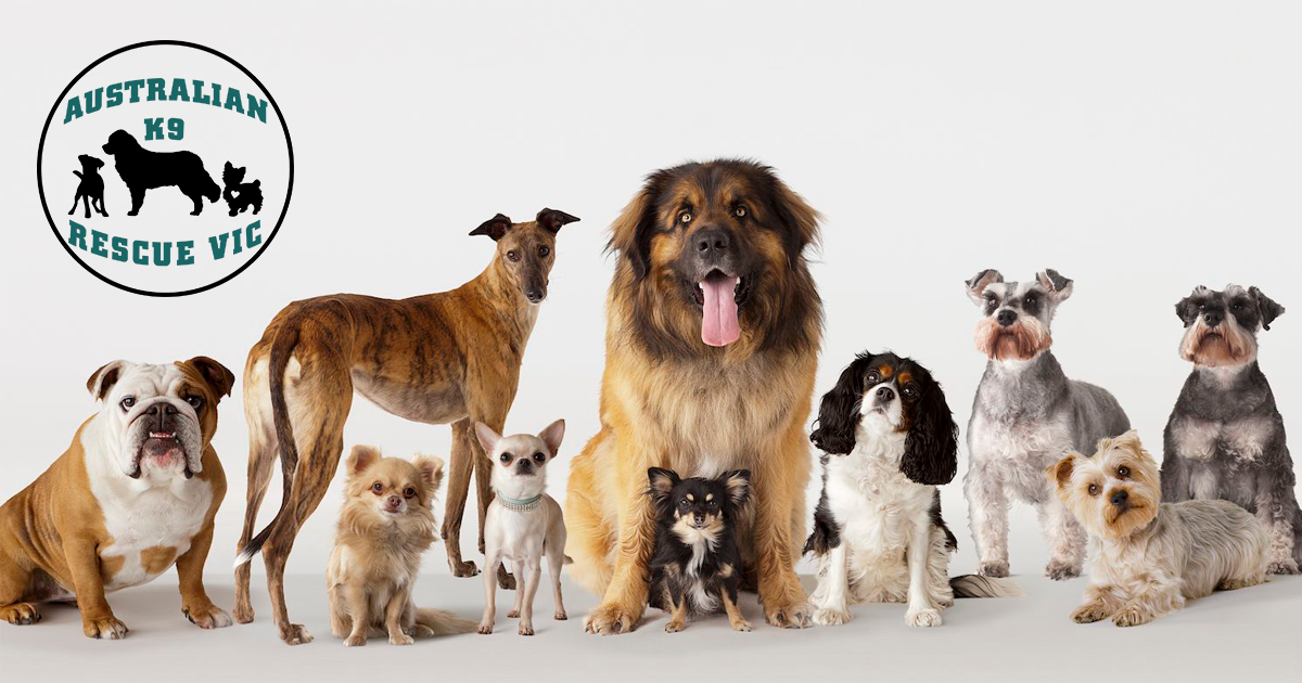 AUSTRALIAN K9 RESCUE VIC LTD.