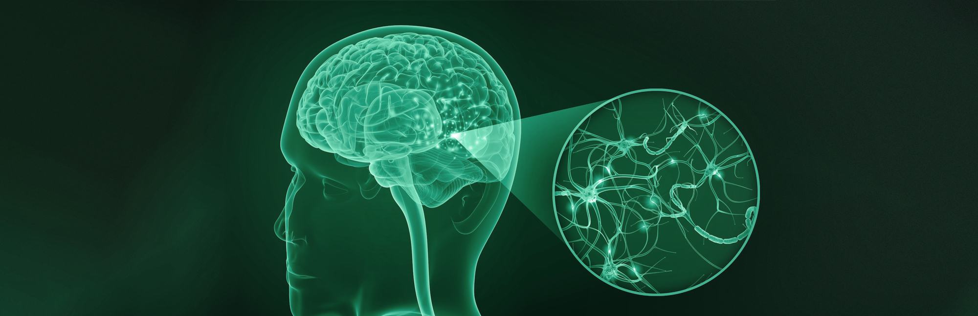 AUSTRALIAN DEMENTIA NETWORK LTD
