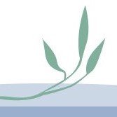 JOHNS HILL LANDCARE GROUP INCORPORATED