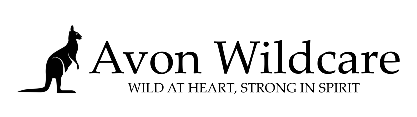 Avon Wildcare Inc.