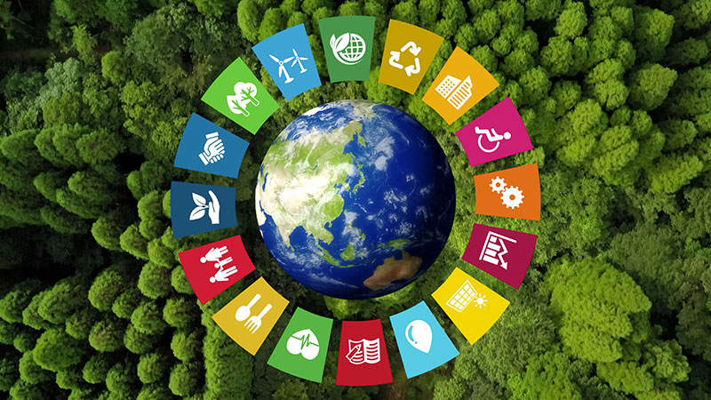 Australian Centre for Sustainable Development Research & Innovation Incorporated