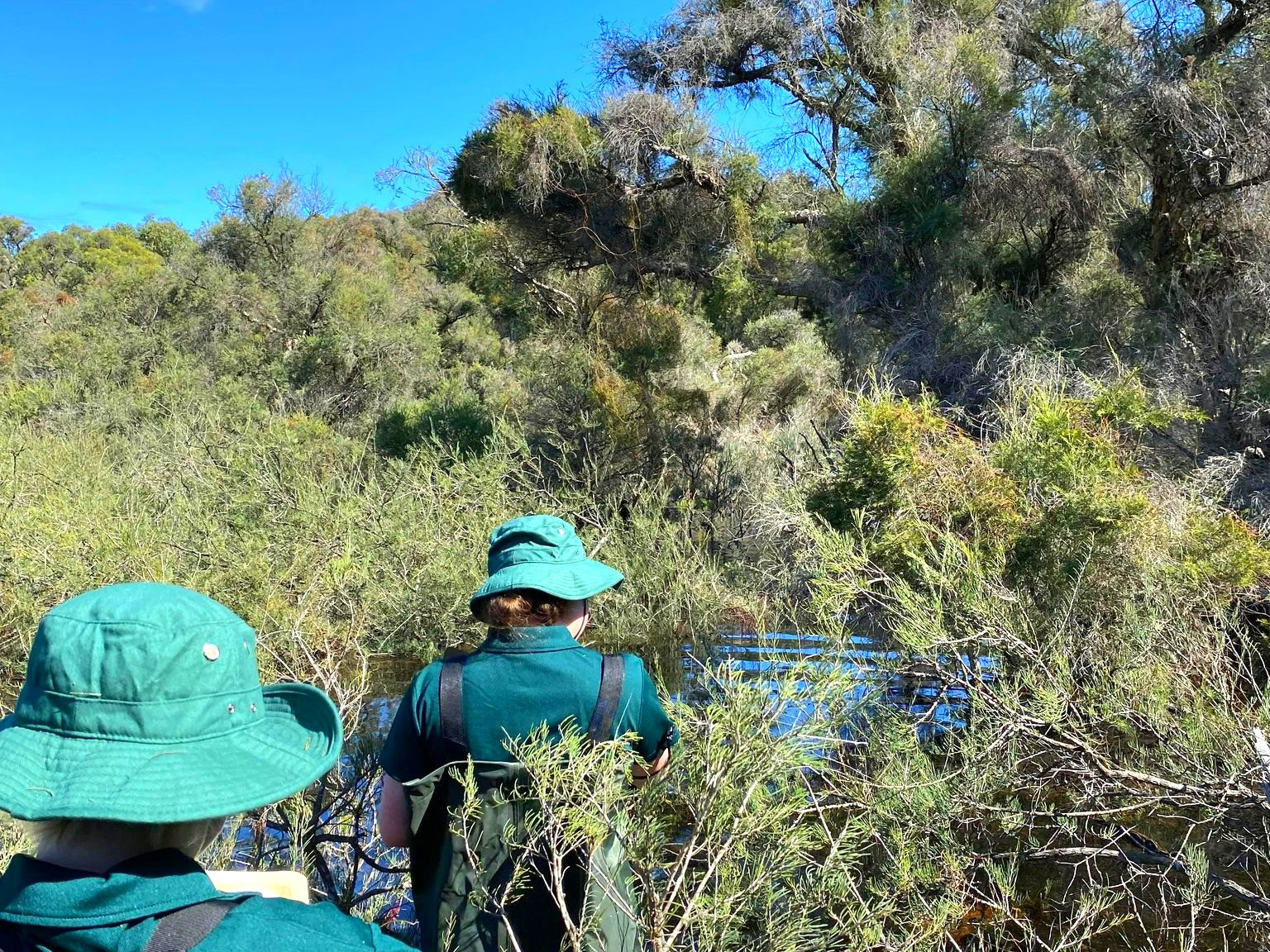 Baldivis Children's Forest Incorporated