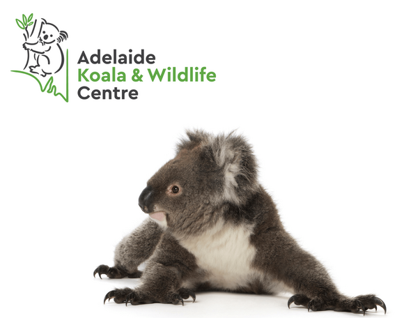 Adelaide Koala and Wildlife Centre Incorporated