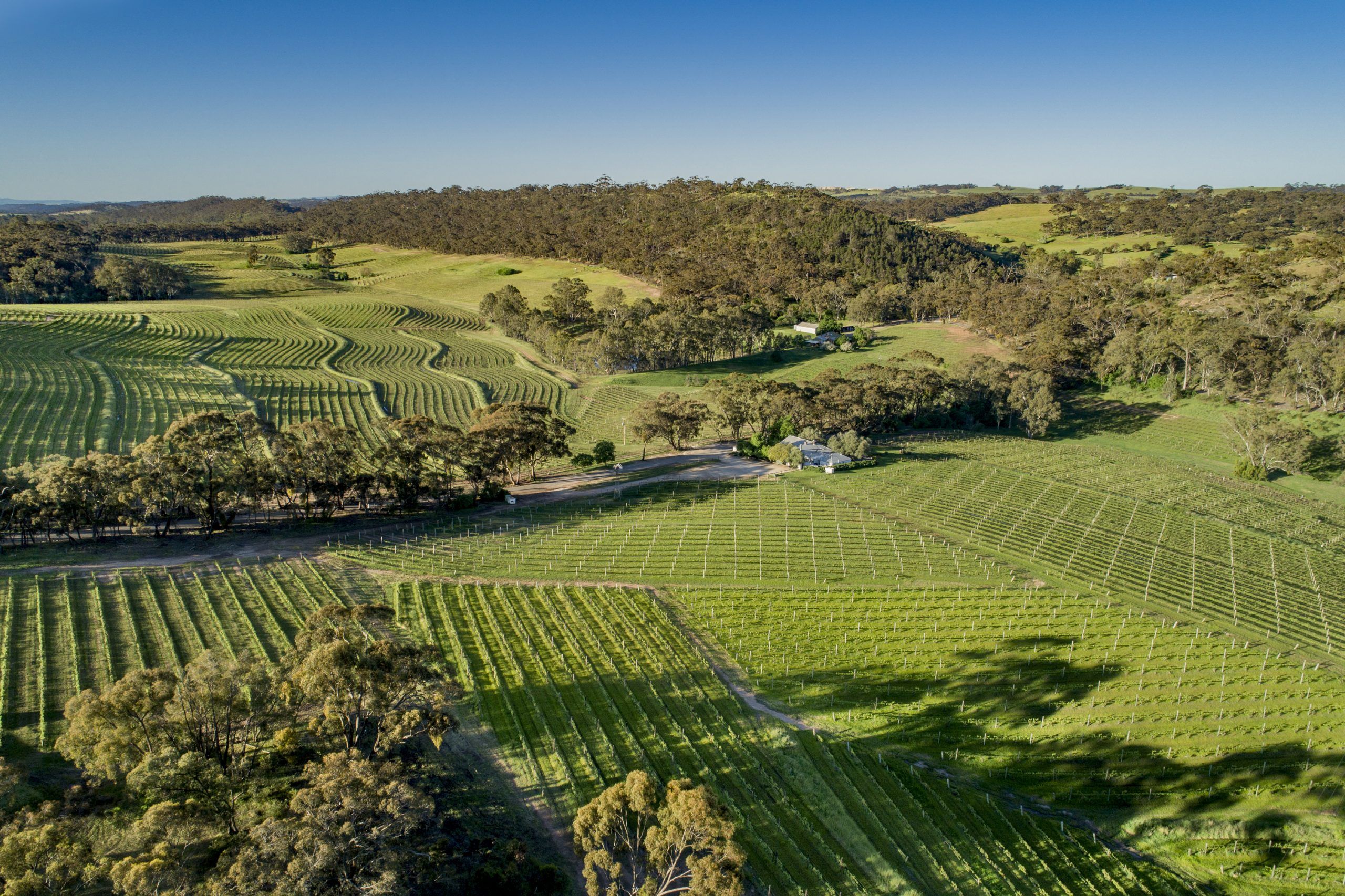 Ray White Rural Stanthorpe