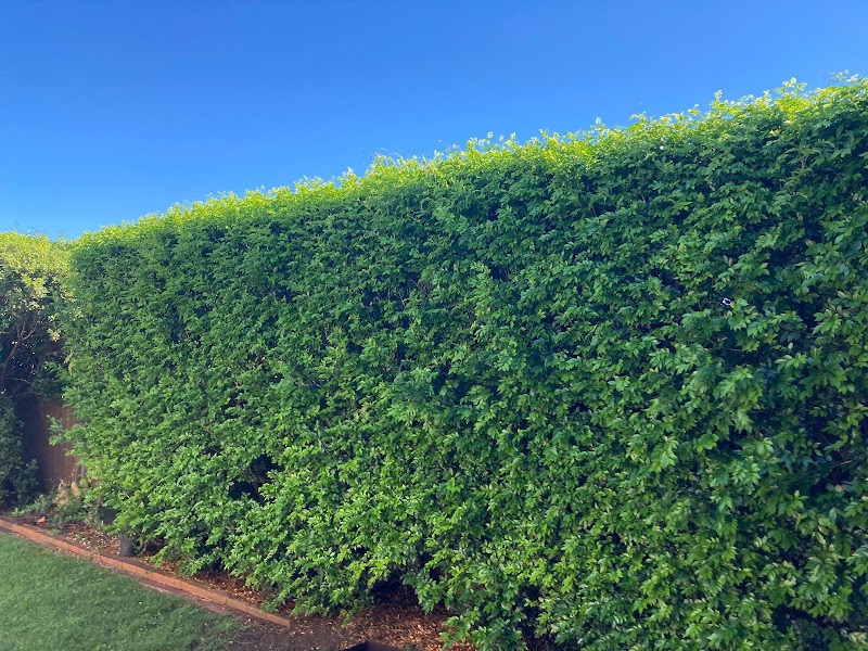 1 Green Thumb Gardening