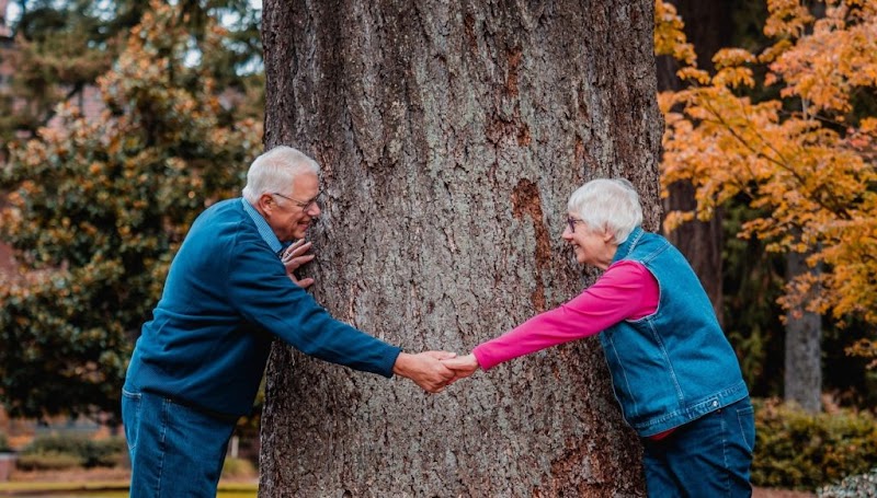 Aged Care Financial Advisers