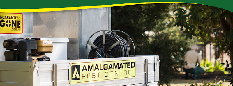 Amalgamated Pest Control Toowoomba Country