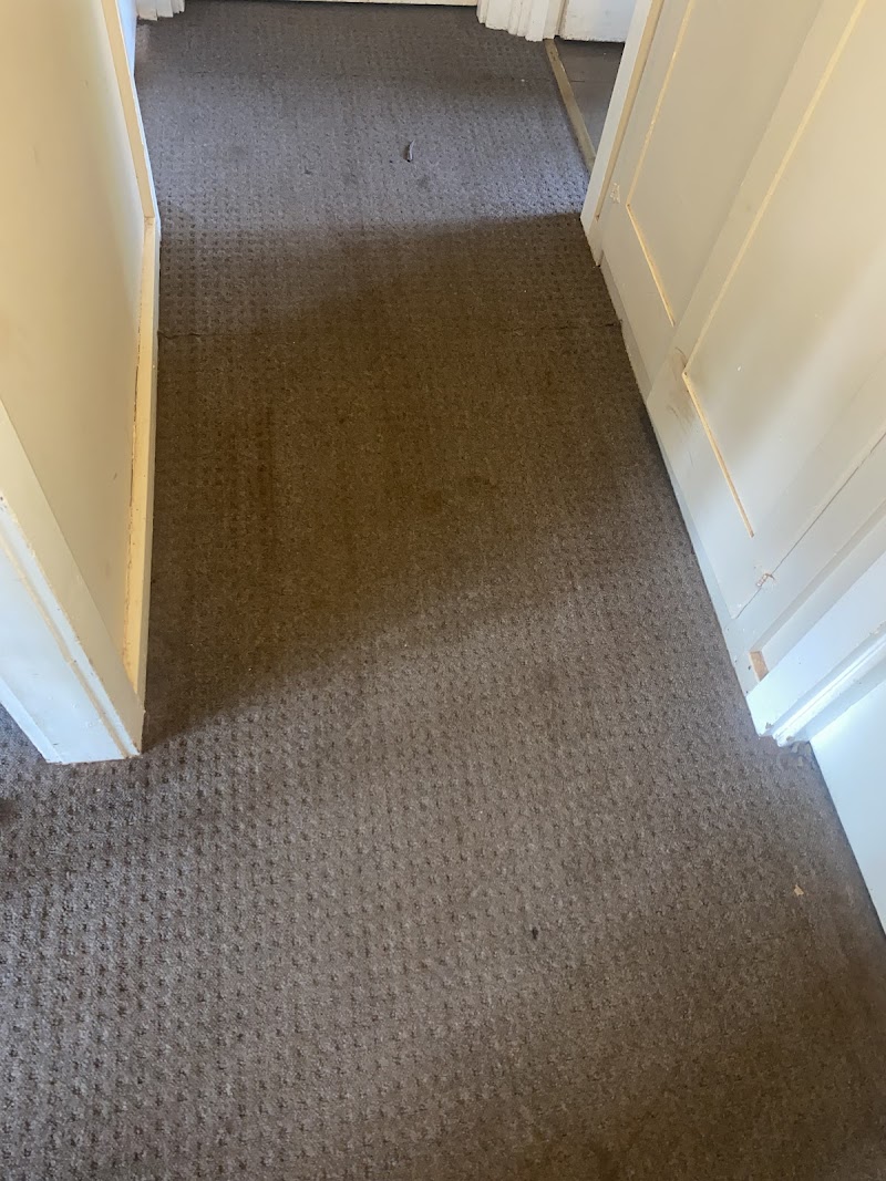 Bentley Carpet Care
