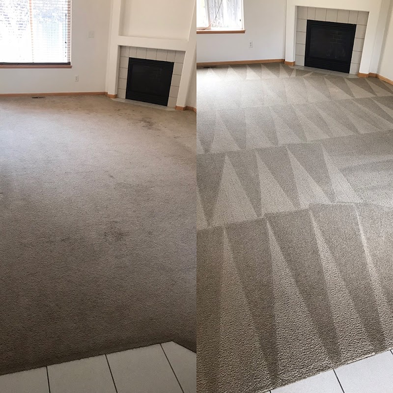 Carpet Steam Cleaning