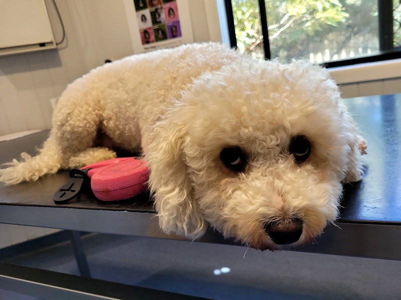 Garden City Vet Care
