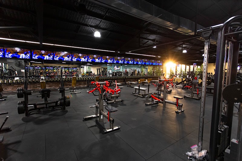 Gold's Gym