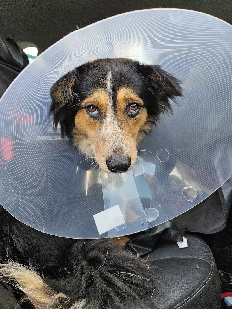 Greencross Vets