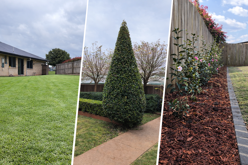 Yard n Home