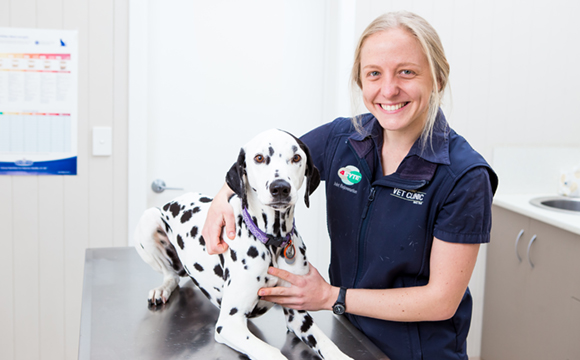 Warwick Veterinary Clinic
